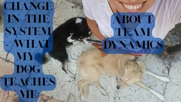 Change in the system with a dog story