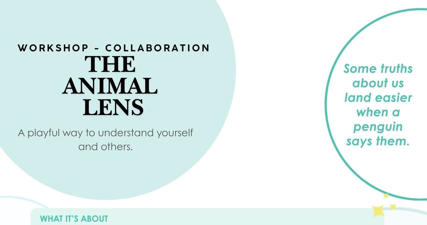 The Animal Lens_Thumbnail